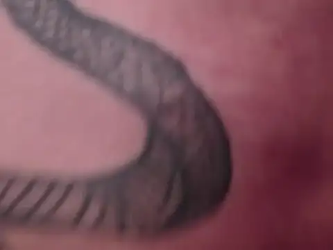Preview of snakenfiire