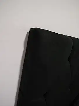 Veronicale webcam