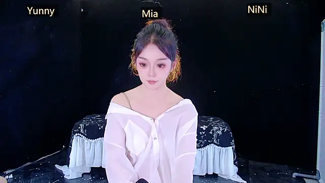 MiNi-U webcam
