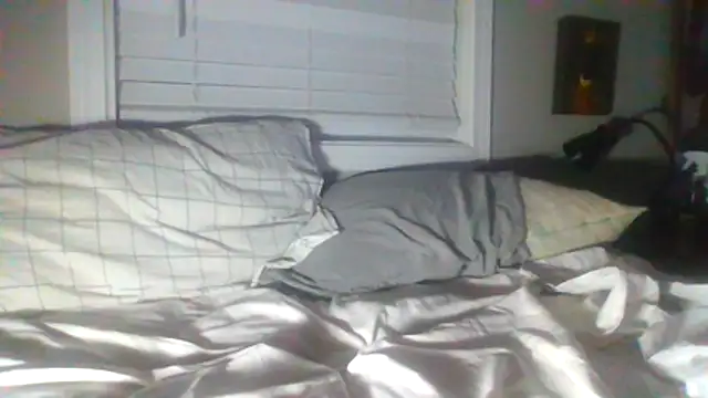 DickJohnson2026 webcam