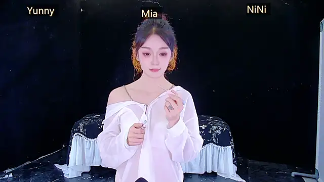 MiNi-U webcam