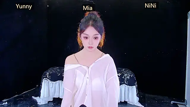 MiNi-U webcam