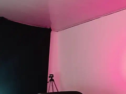 SnakeNFiire webcam