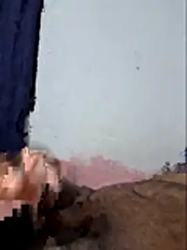 tangord webcam