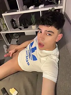 aronnhidden