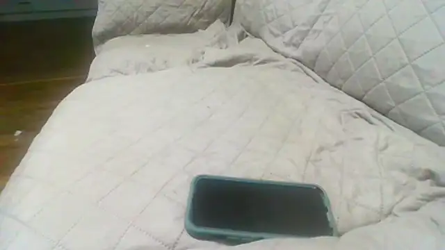 DickJohnson2026 webcam