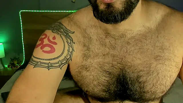 Prometeo-grizzly webcam