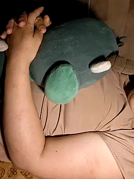 Ppmaivang webcam