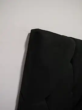 Veronicale webcam