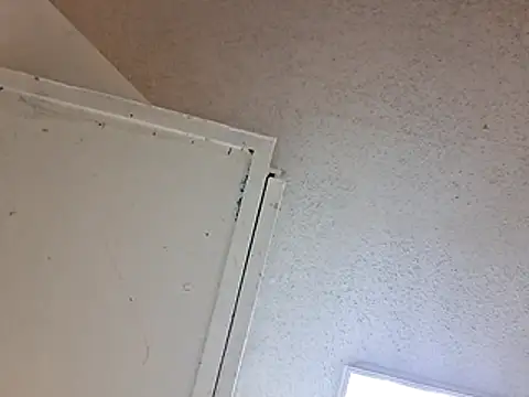 247Srokin webcam