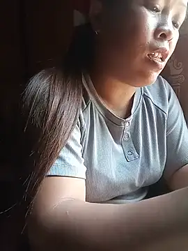 Ip34 webcam