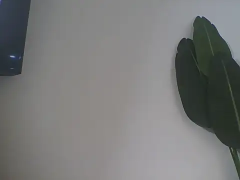 babydoooll19 webcam