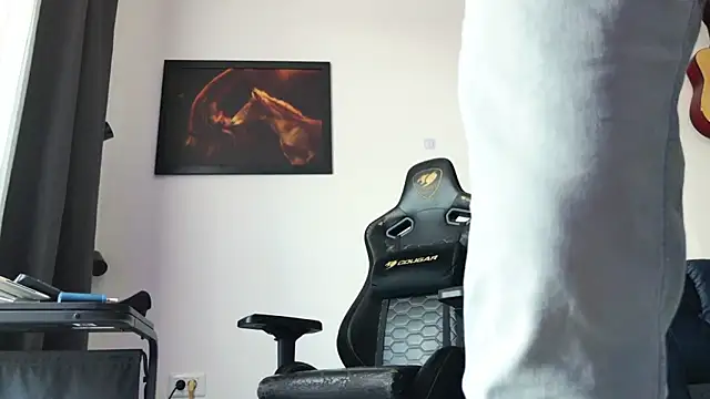 ChrisKox webcam
