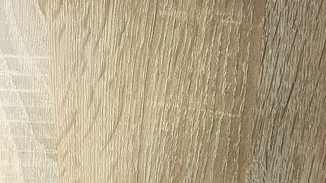 NoFace_Model webcam