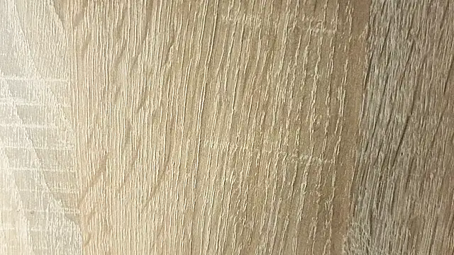 NoFace_Model webcam