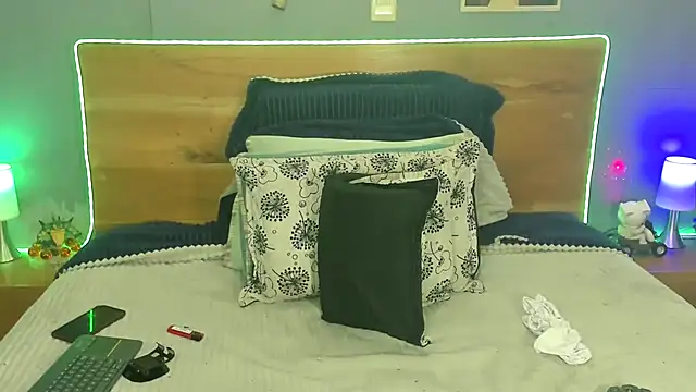 Prometeo-grizzly webcam