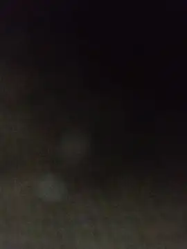 BlackSnakesk webcam