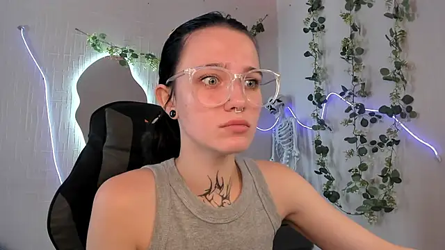 Elastikisss webcam