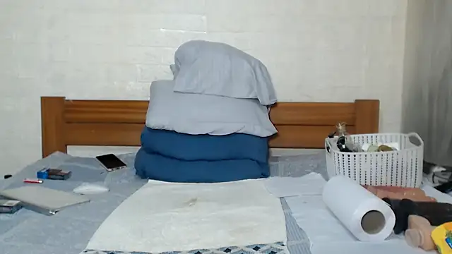 awild_kitten webcam