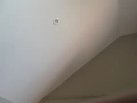 diamondko webcam