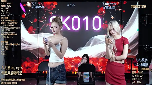 SK010 webcam