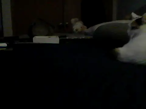 Silencio26 webcam