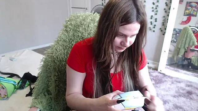 lilidip webcam