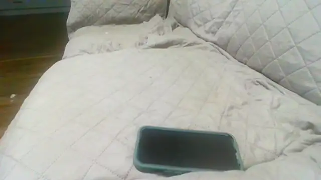 DickJohnson2026 webcam