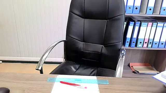 Evasionee webcam