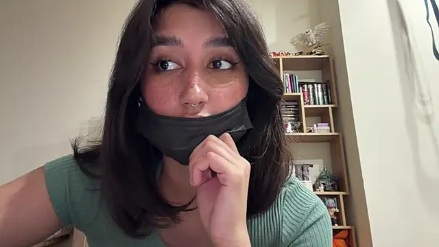 PaintedDisplay webcam