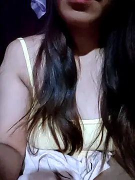 -Site-lee webcam