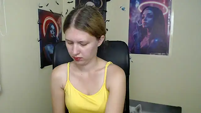 StellaCRL webcam
