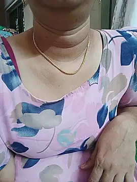 Hansikatelugu webcam