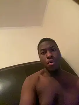 ThickDic28 webcam