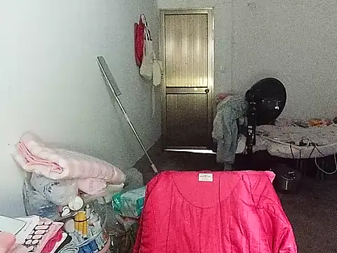 RebelAura webcam