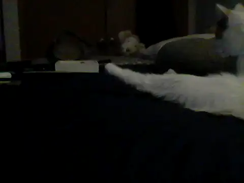 Silencio26 webcam