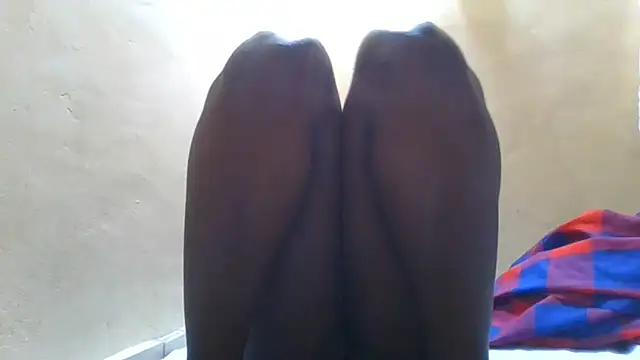 Cozybear webcam
