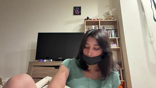 PaintedDisplay webcam