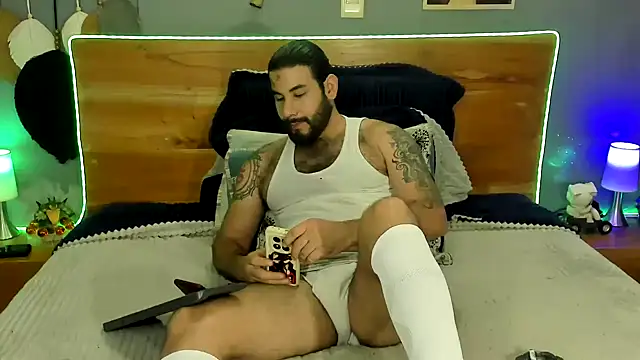 Prometeo-grizzly webcam