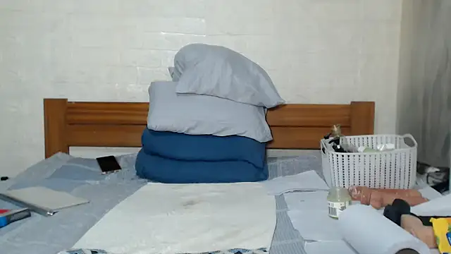 awild_kitten webcam