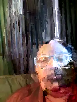SHANVII webcam