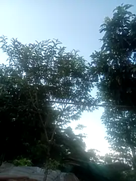 nangmo webcam