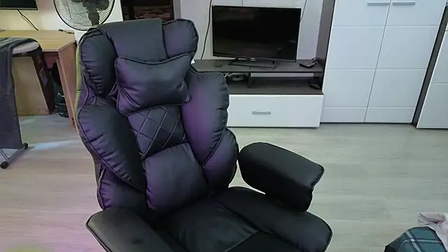 pvlpstvy webcam