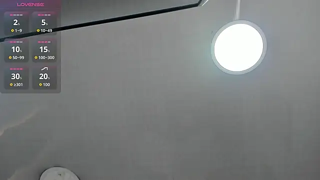 1Sloppy_Fox4 webcam