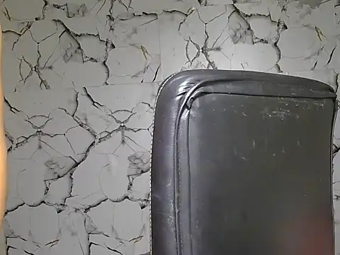 your_kritika webcam