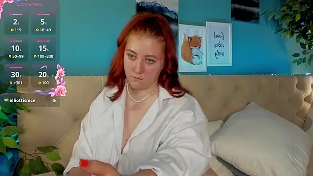Diana_charon webcam