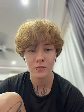 IceMur webcam