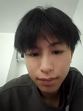 Sanc0304 webcam
