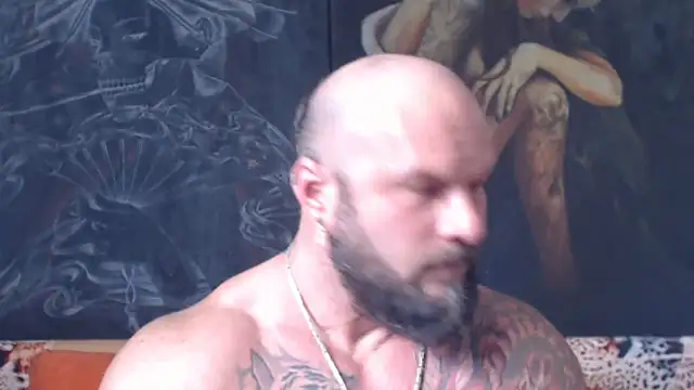 viking_30 webcam