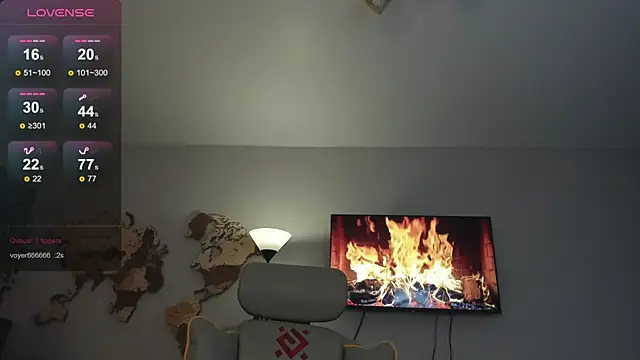 wwow_meow webcam